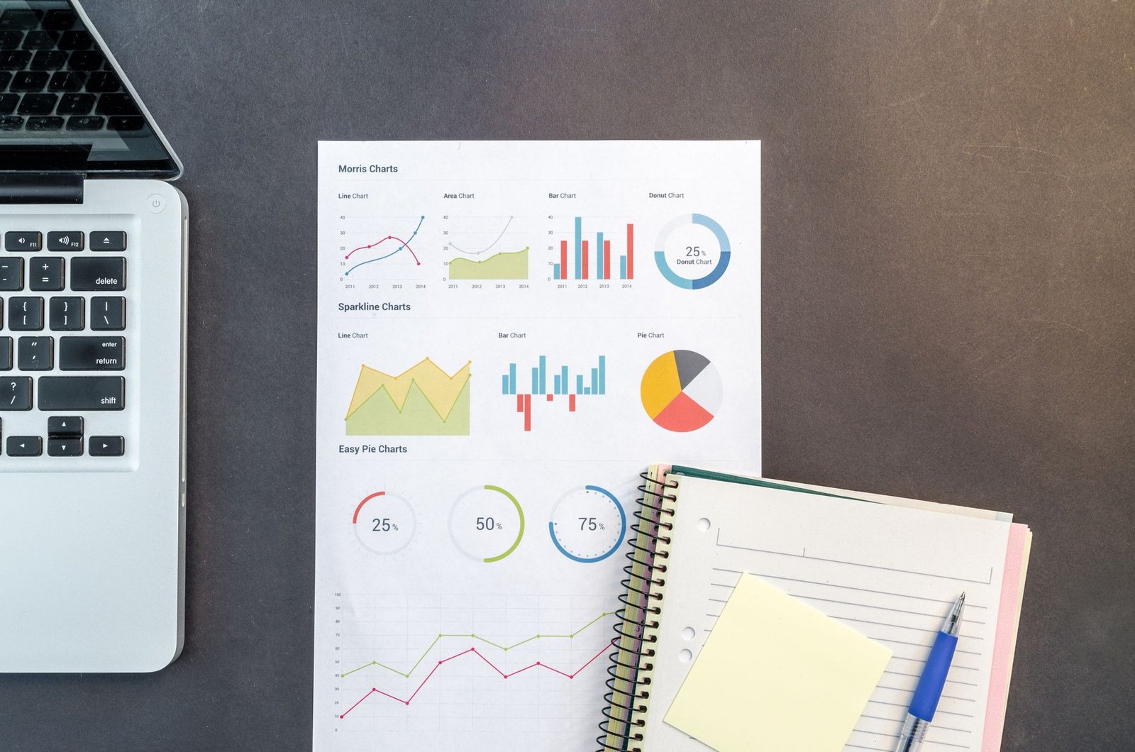 Financial charts and monthly bookkeeping reports shown on a laptop